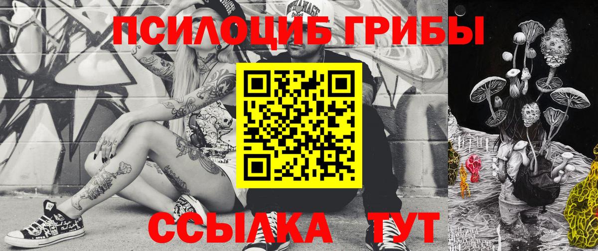 Псилоцибиновые грибы Psilocybe Апатиты