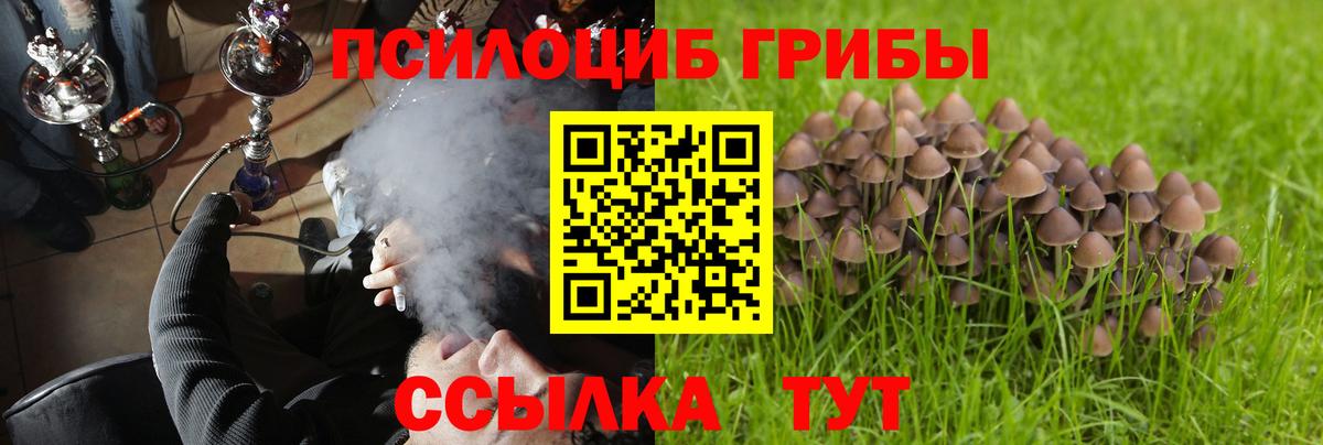 Галлюциногенные грибы мицелий  Вход с VPN  Апатиты 
