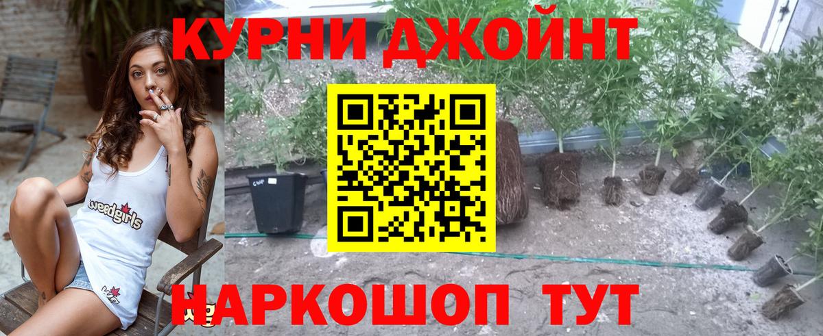 Апатиты  Каннабис план  Вход с VPN  Бошки Шишки тримм  МАРИХУАНА MAZAR 